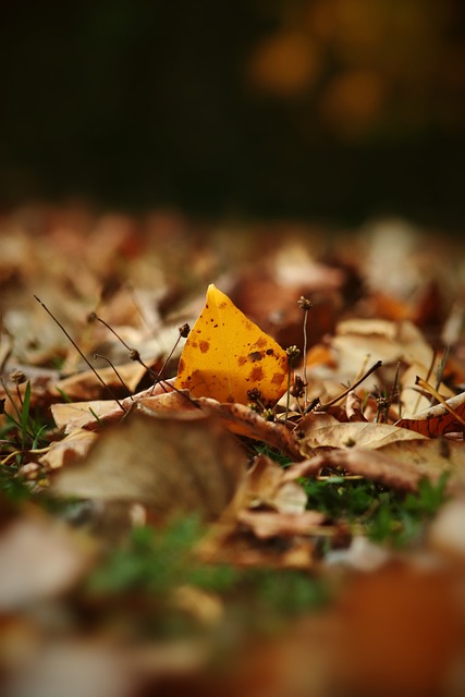 此时解雇詹 此时解雇詹