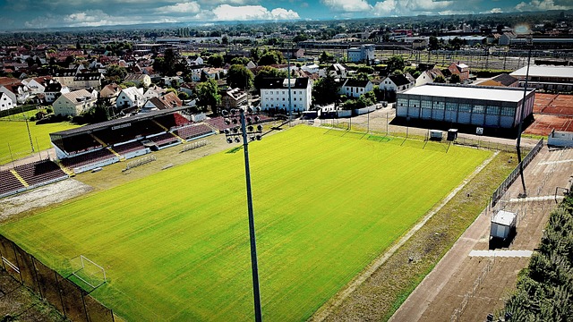 在世界大赛 在世界大赛