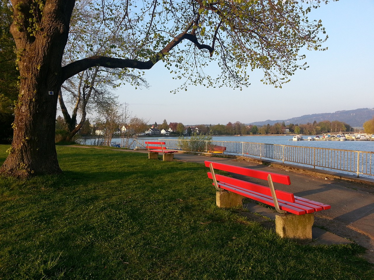 成功巩固了 成功巩固了