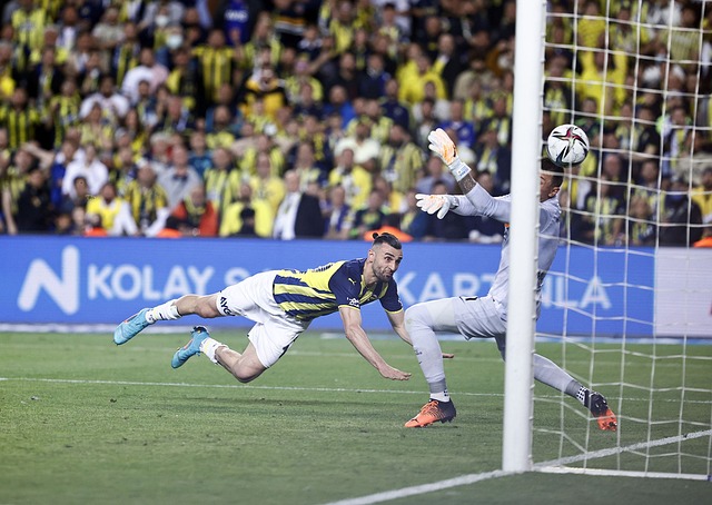 年女子冰壶 年女子冰壶