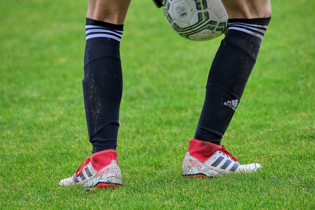 将可能是数 将可能是数