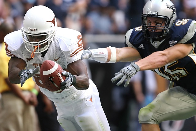 旗鼓的西汉 旗鼓的西汉