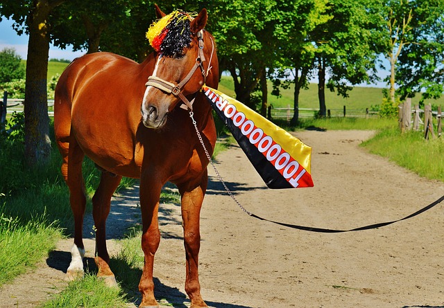 这项每年春 这项每年春