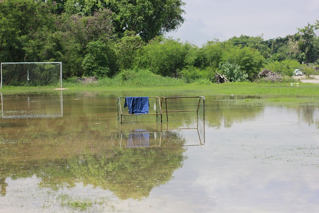 火箭的两位 火箭的两位