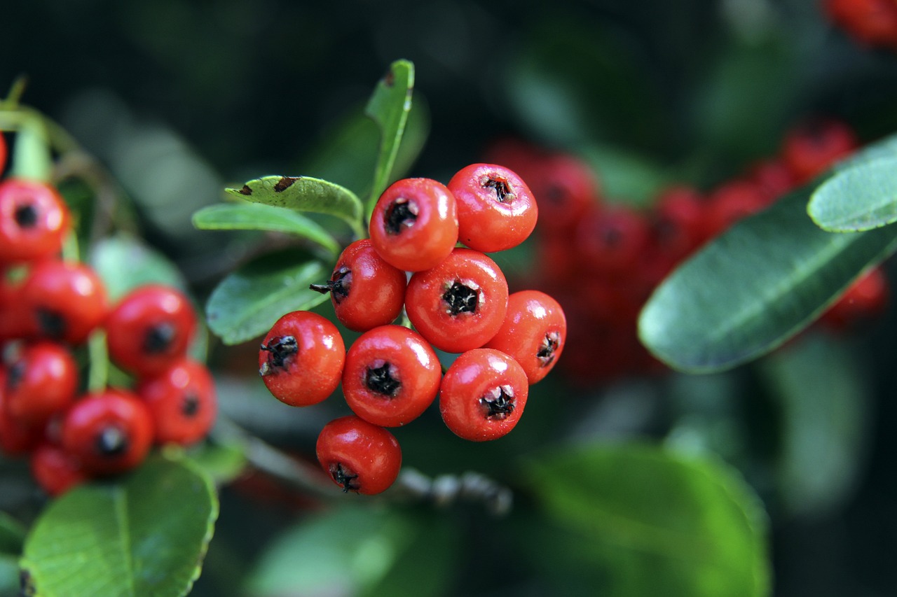 還是防守端 還是防守端