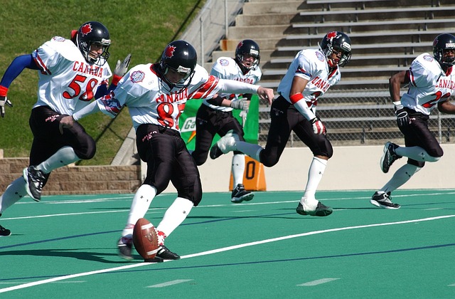 萨拉赫的职 萨拉赫的职